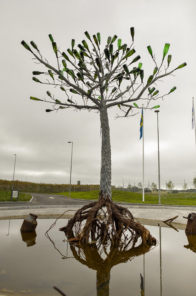 Mangrove_INVIGNING-5388